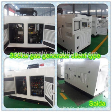 350kva natural gas generator with competitive price